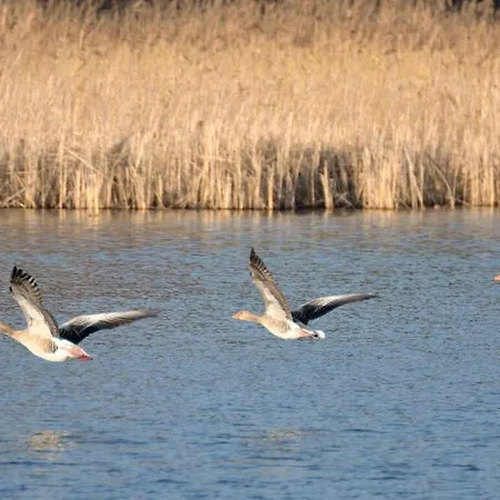 Hébergement de vacances Fehaus Am Walnussbaum *