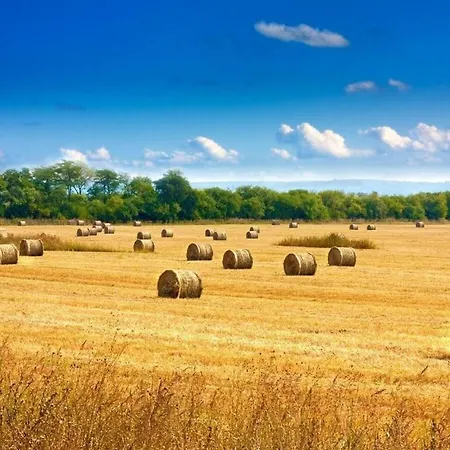 Fehaus Am Walnussbaum * Mirow