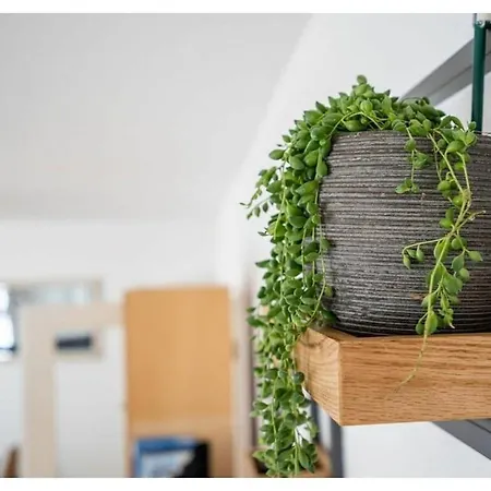 Fehaus Am Walnussbaum Hébergement de vacances