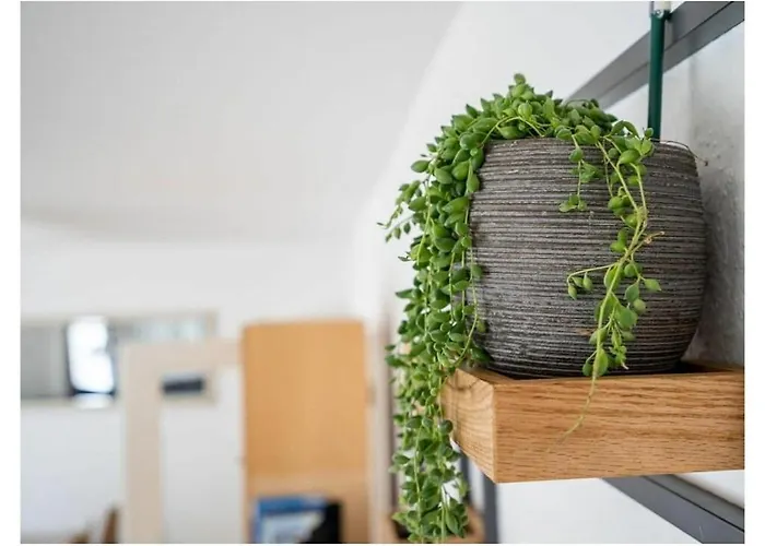 Fehaus Am Walnussbaum Feriehus